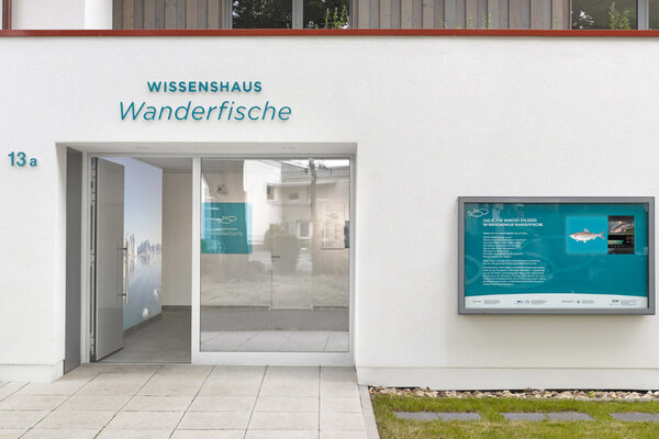 Wissenshaus Wanderfische