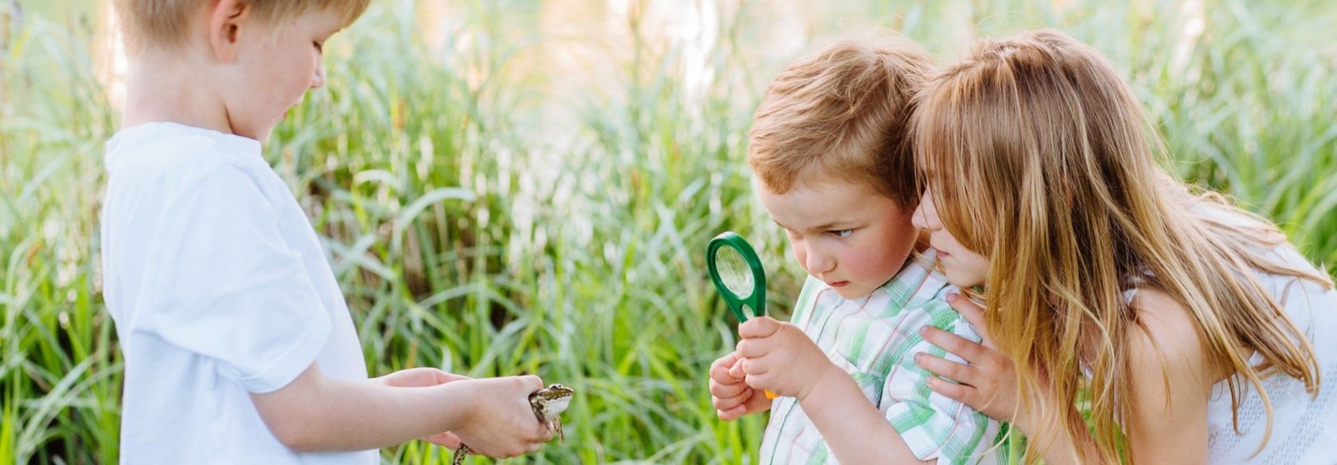 Dr. Hans Riegel-Stiftung: Forscher Füchse Kindergarten