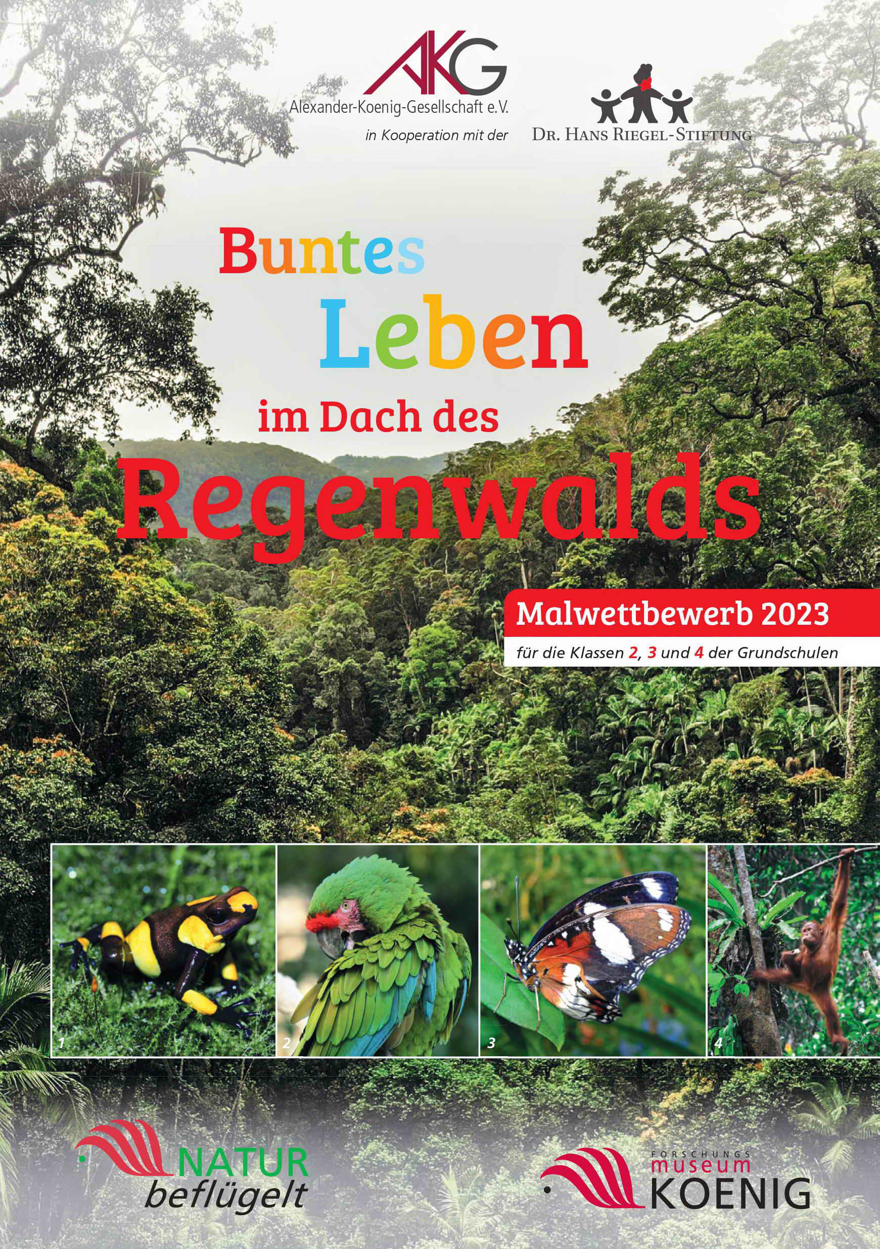 Titelbild Natur beflügelt 2023 Malwettbewerb