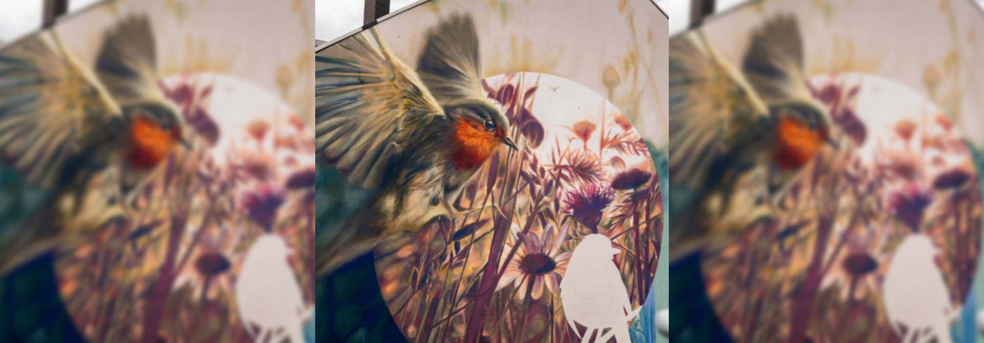 Art meets Biodiversity