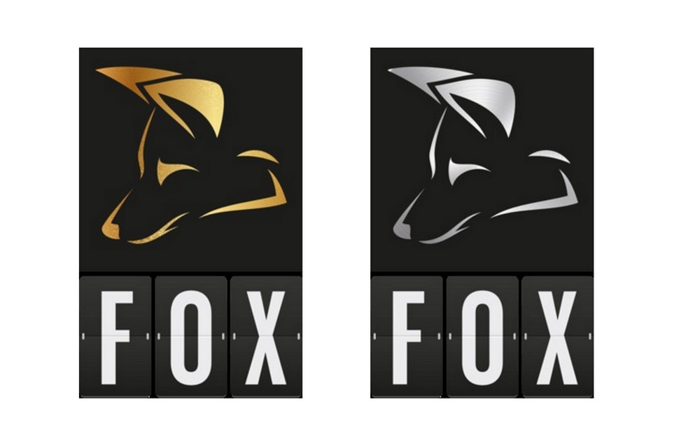 TouchTomorrow gewinnt FOX Award in GOLD & SILBER