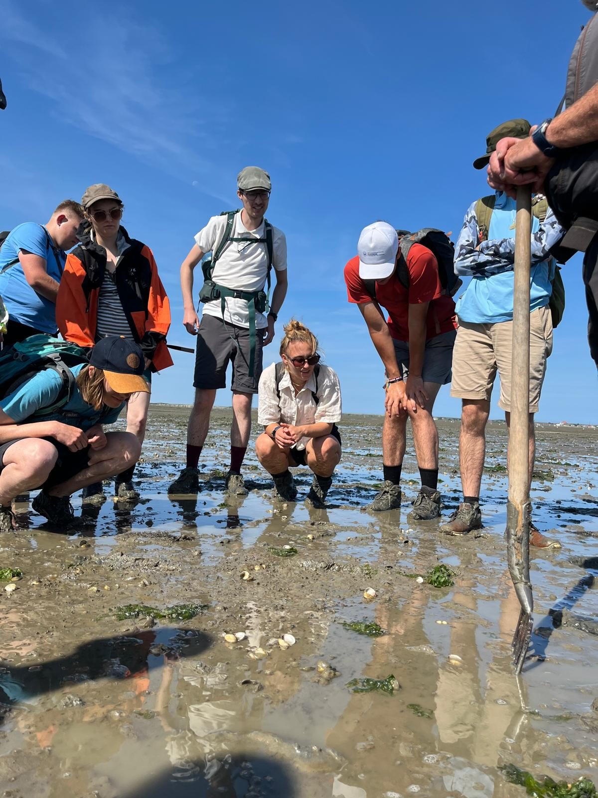 Gastbeitrag Watt - ein Seminar